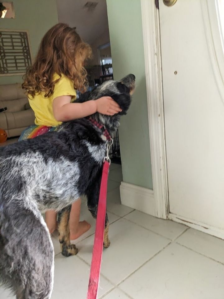 Cooper Heeler 6