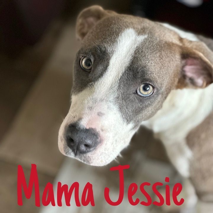 Mama Jessie