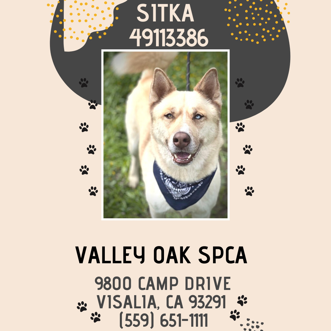**Sitka**