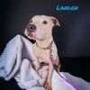 Landon