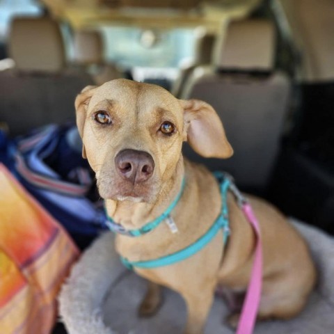 Nora