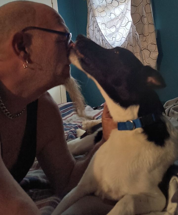 Winston 3