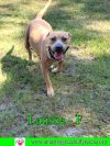 Latisha photo 2