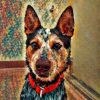 Rex - your working dog who cuddles!