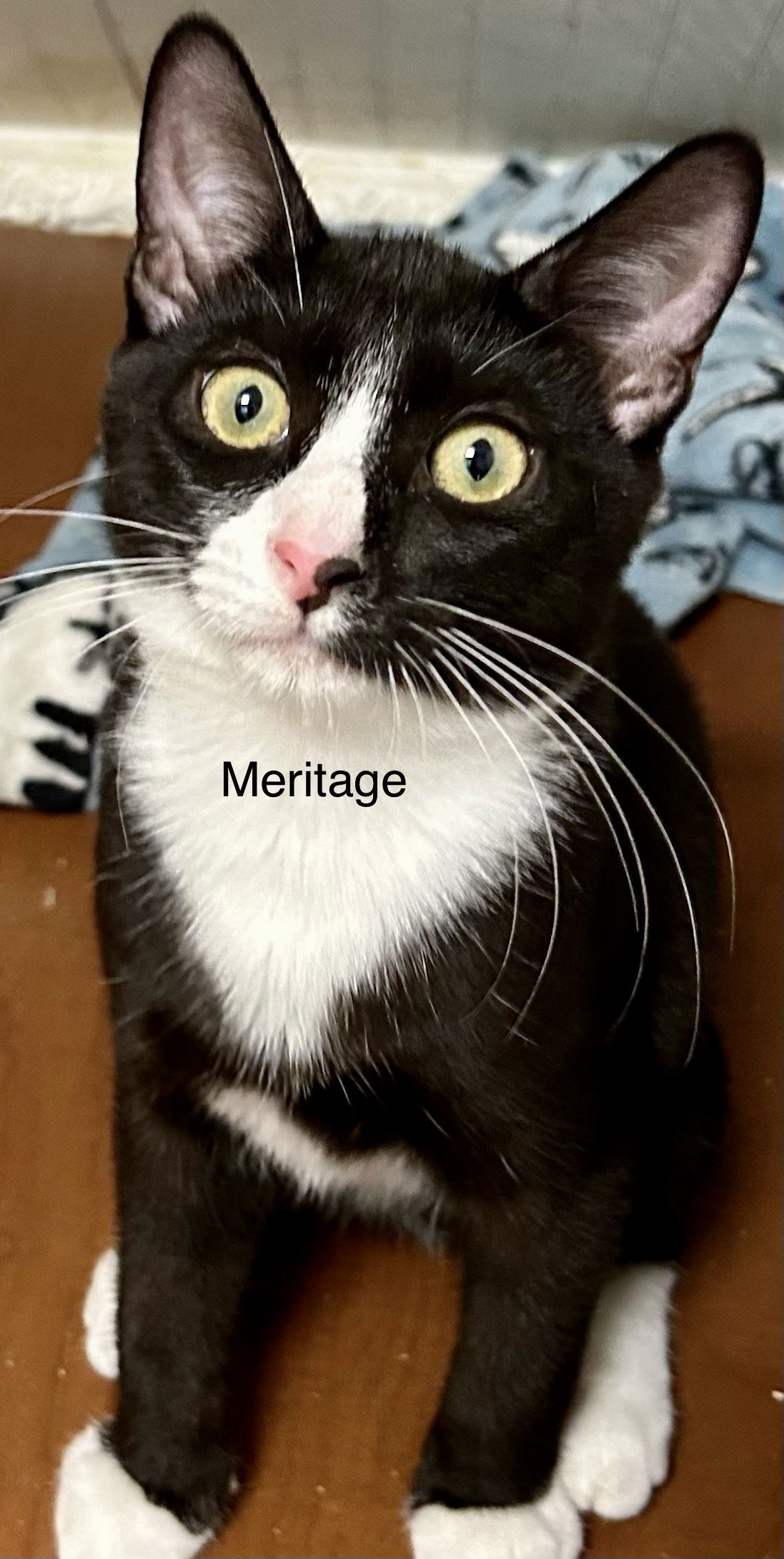 Meritage