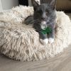 Mochi 