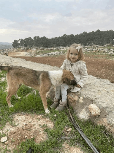Nalda CS, an adoptable Shepherd & Canaan Dog Mix in Highland, MD_image-3