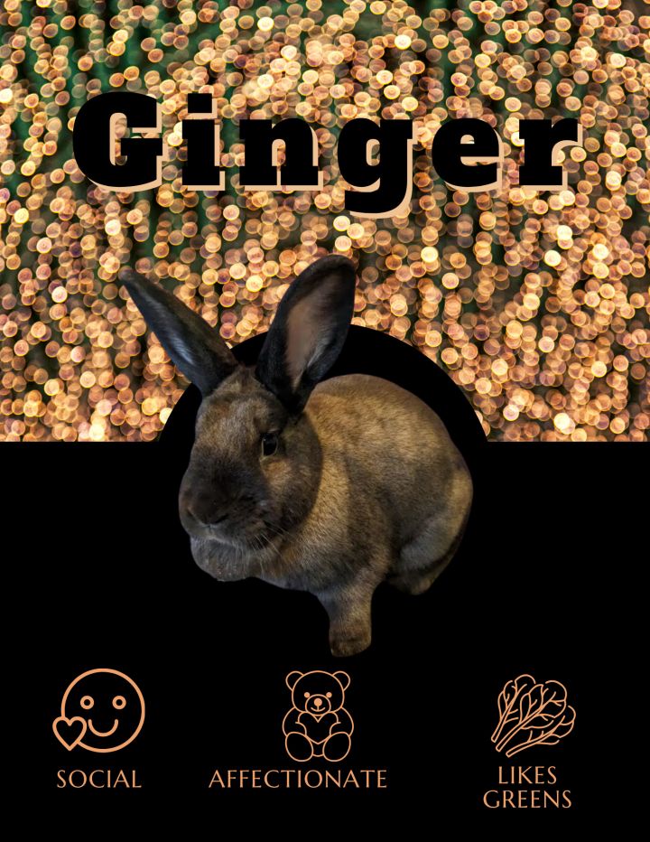 Ginger 2