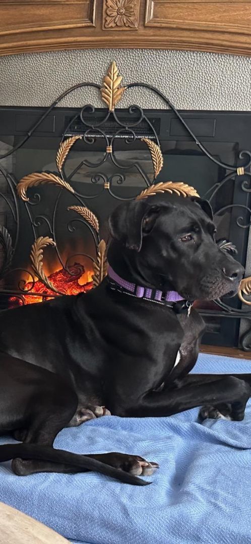 Ella