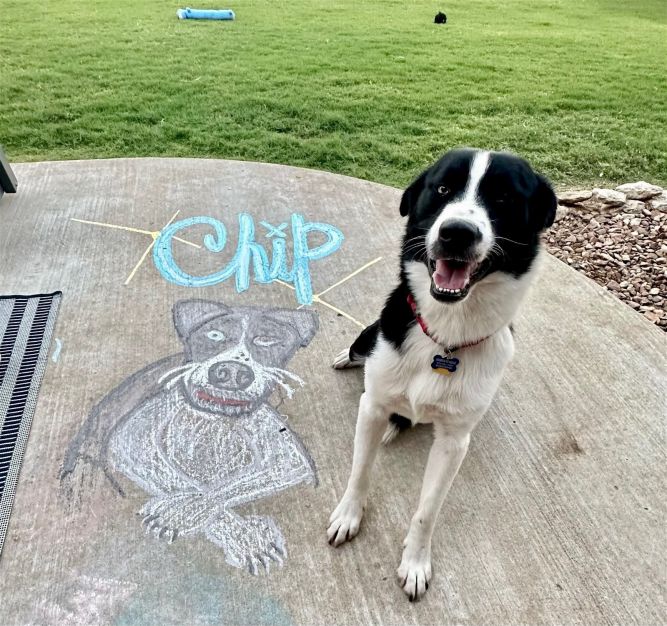 Chip