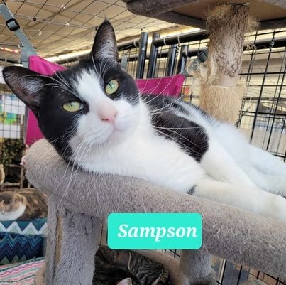 Sampson-Sponsored