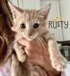 Rusty