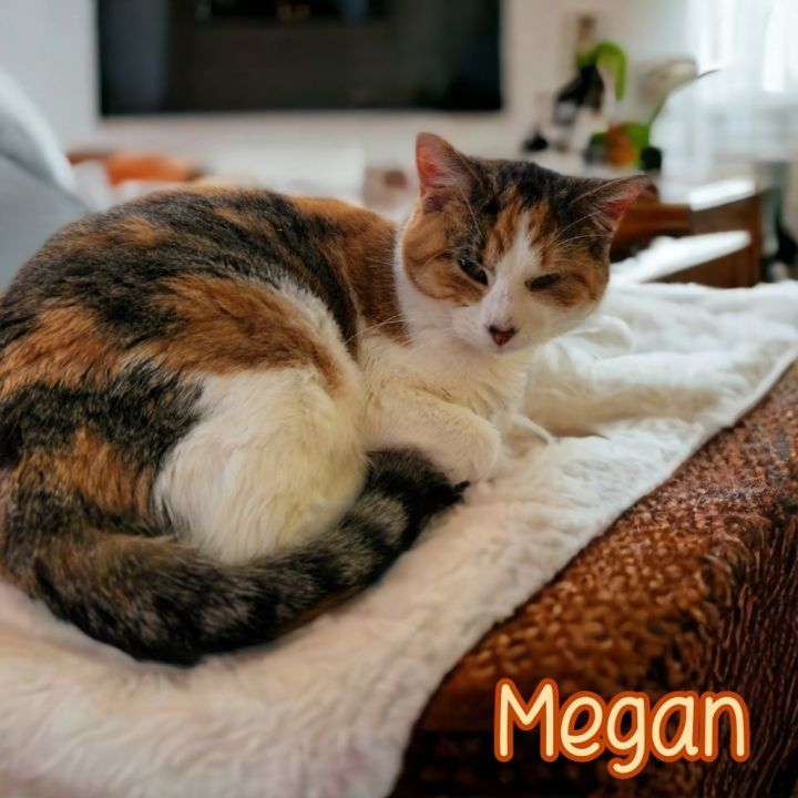 Megan 6