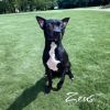 Zeus
