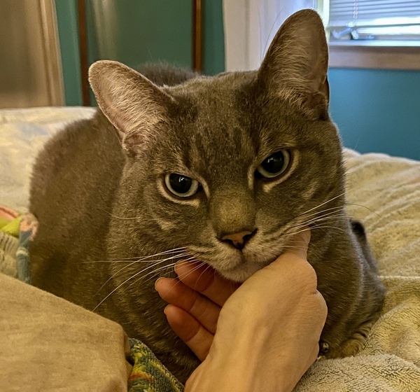 Deuce 4