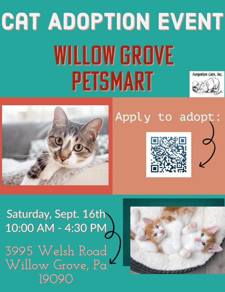 Petsmart Adoption Event