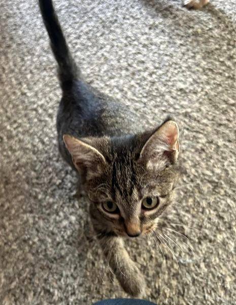 Tiny