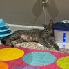 Rosalina - affectionate sweetheart 