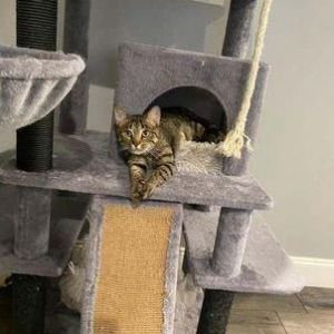 Photo of Stella
