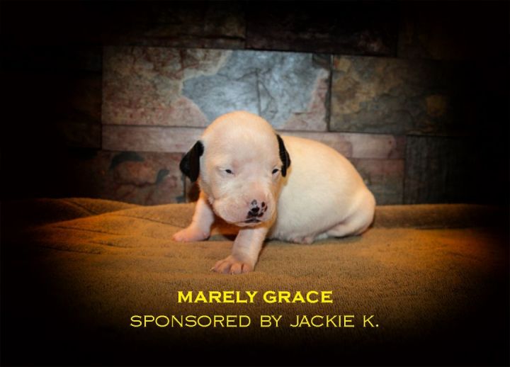 Marley Grace 1
