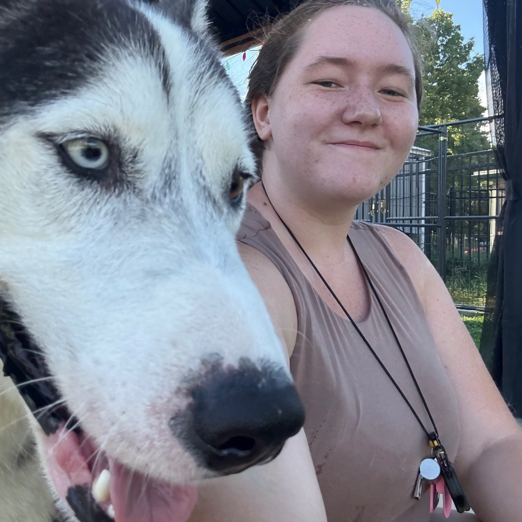 Zeus, an adoptable Husky in Eufaula, OK, 74432 | Photo Image 3