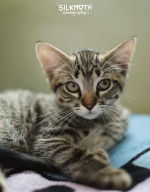 Jax