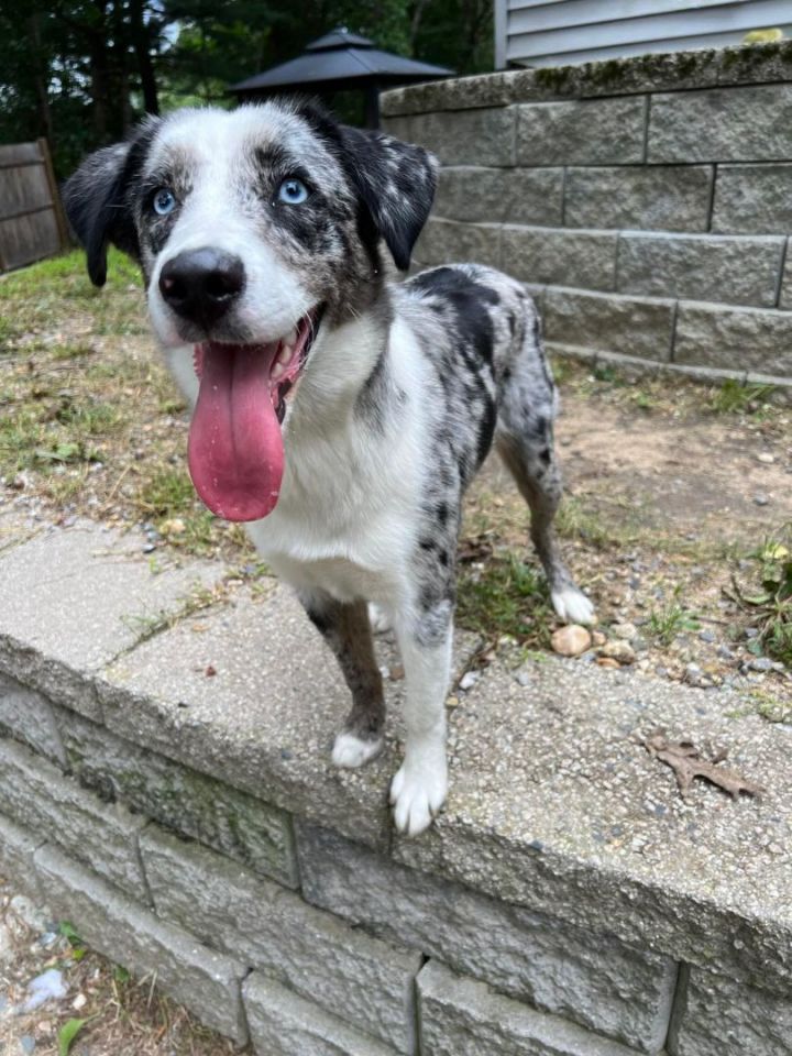 Delilah in NH! 2