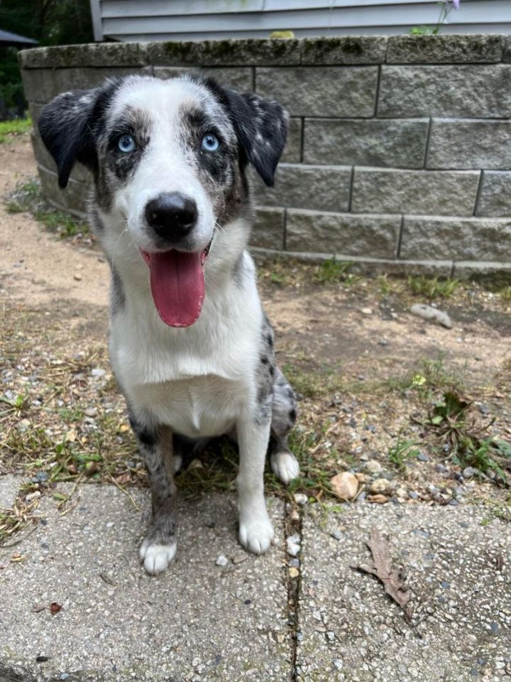 Delilah in NH! 1