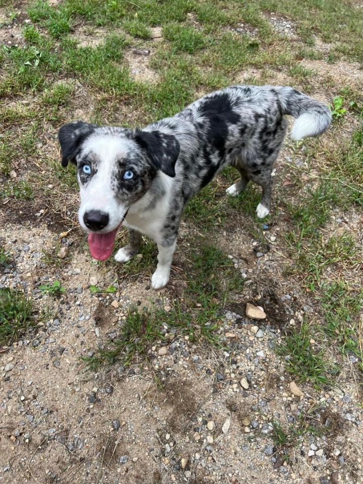 Delilah in NH! 3