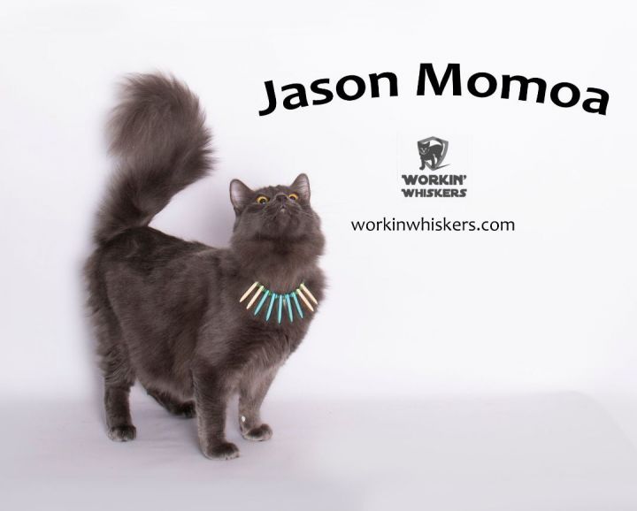 JASON MOMOA 3