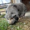Maggie photo 4