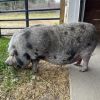 Maggie photo 5