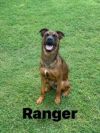 Ranger photo 2