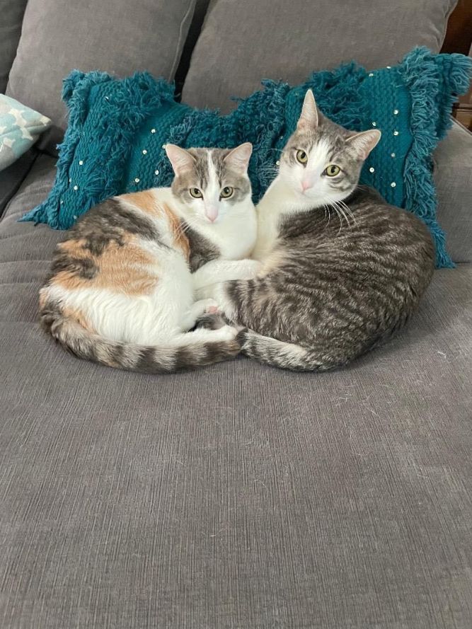 Messi and Aurora