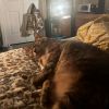 Penny photo 2