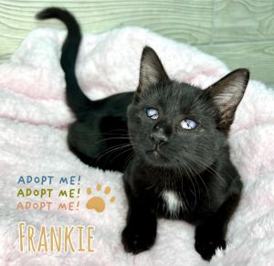 Frankie