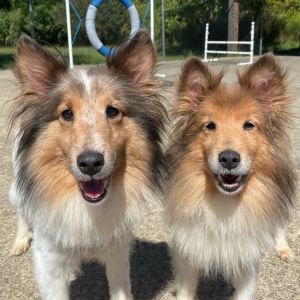 Gidget & GiGi