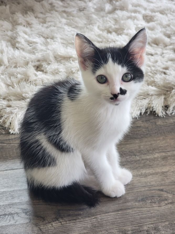 Matilda