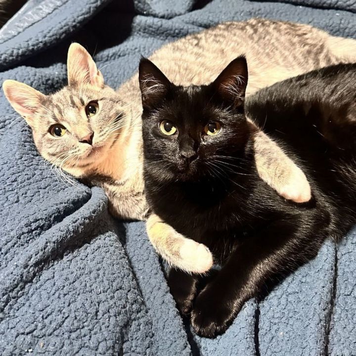 Spicy Mikey and Wobbly Jack 4
