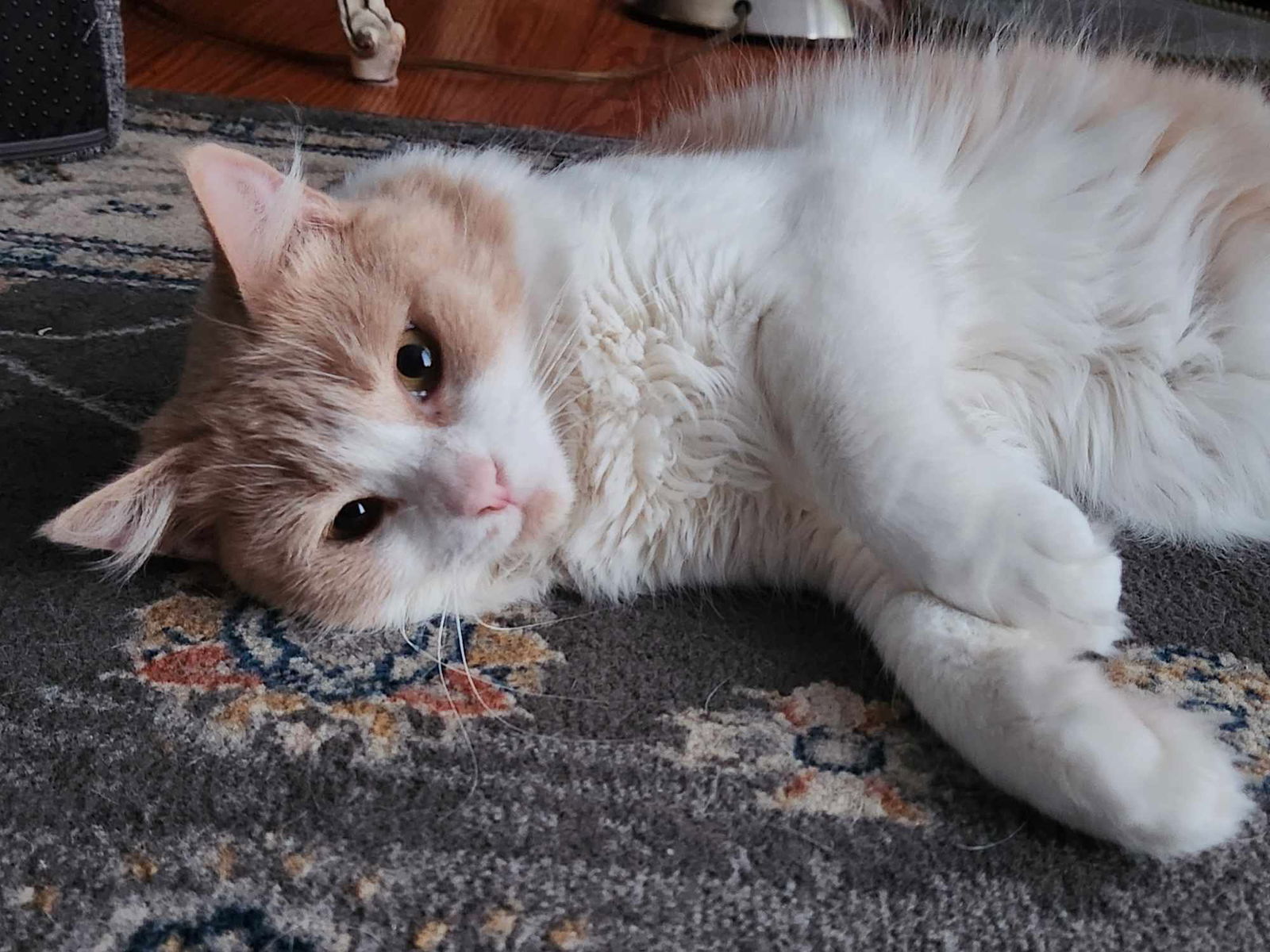 Muffin