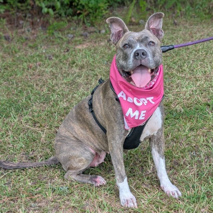 Helen 07-2648 1