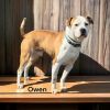Owen photo 3