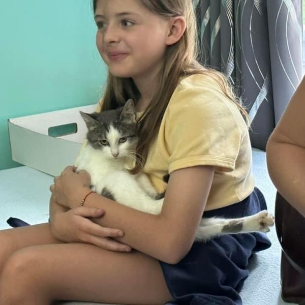 Hazel - Your new snuggle buddy