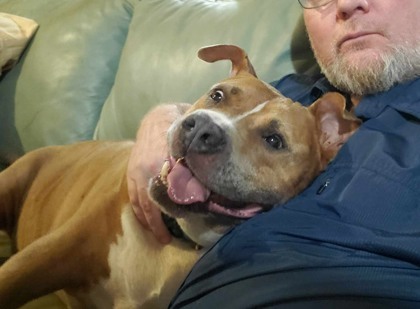 Benny - IN FOSTER