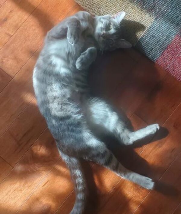 Bonnie