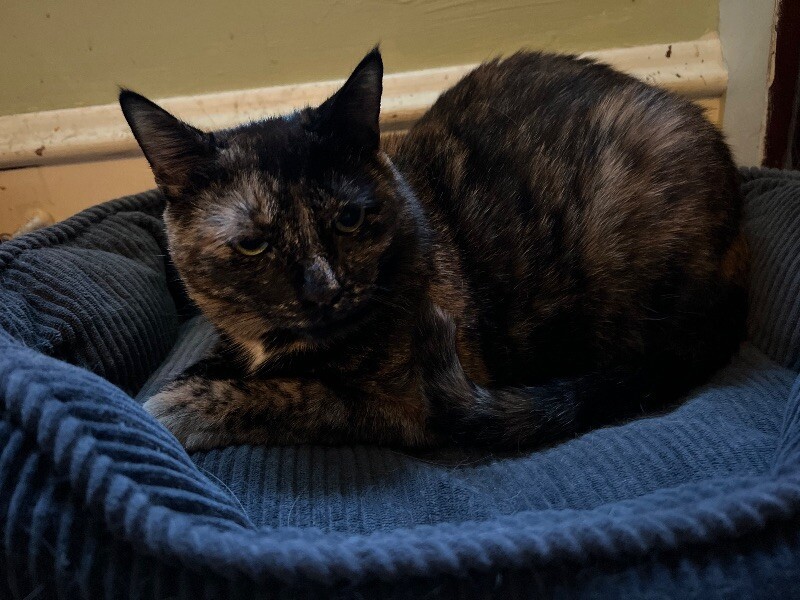 Ella
