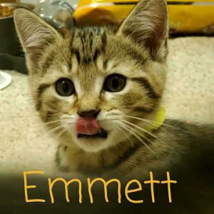 Emmett 