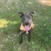Shiloh
