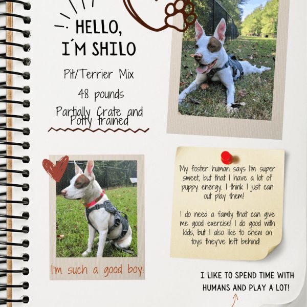 Shilo