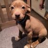 Walter